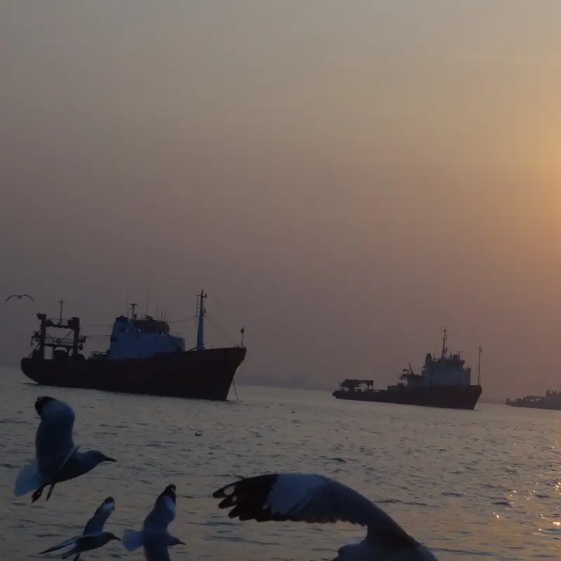 Eagle gathering on sea 