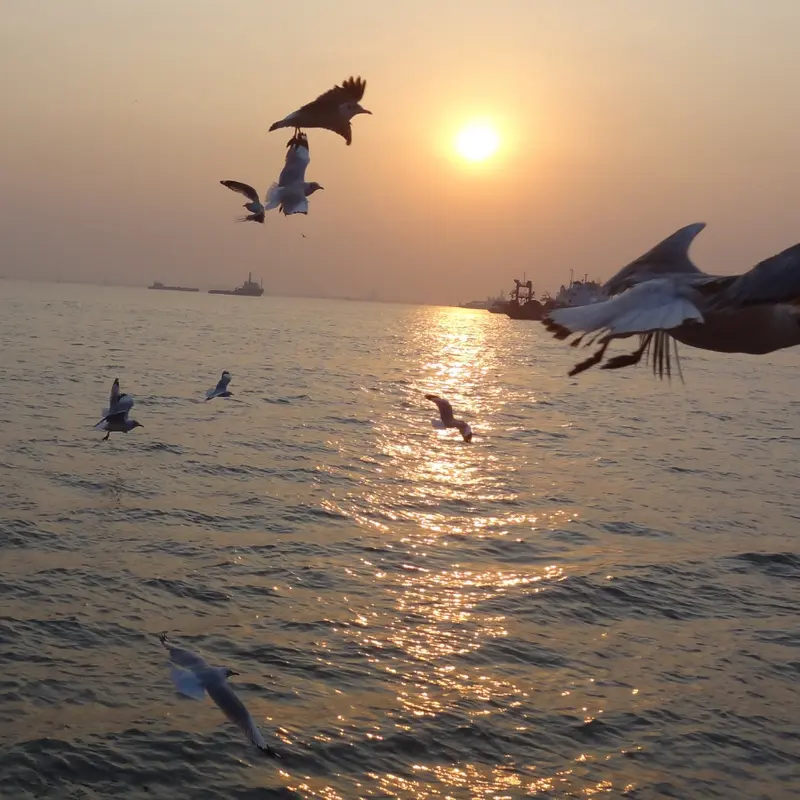 Sea Eagle flying wing 